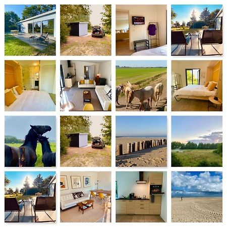 艾曾代克Natuurhuis Zeeuwse Rust Voor Wandelingen Aan Zee, Fietstochten In Natuur En Culinair Genieten别墅 外观 照片