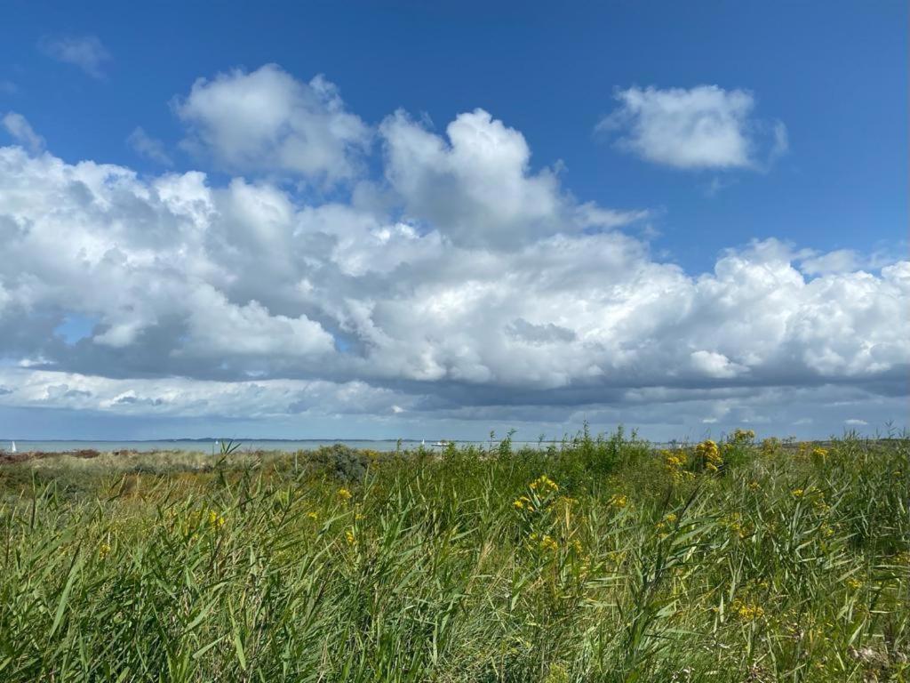 艾曾代克Natuurhuis Zeeuwse Rust Voor Wandelingen Aan Zee, Fietstochten In Natuur En Culinair Genieten别墅 外观 照片