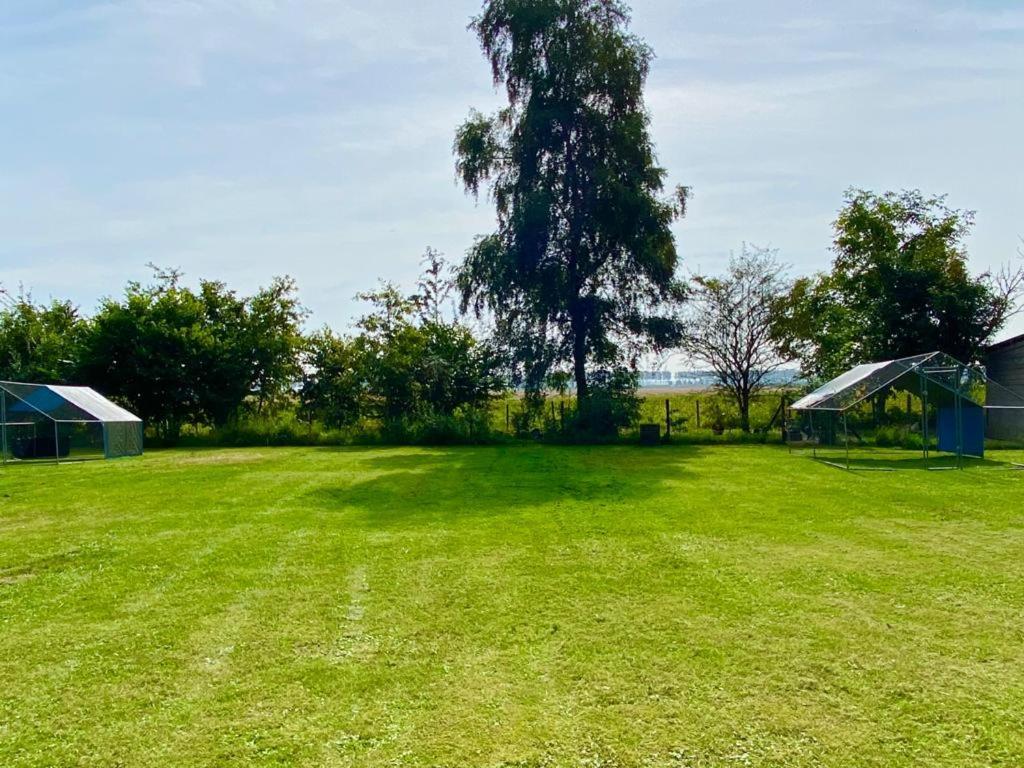 艾曾代克Natuurhuis Zeeuwse Rust Voor Wandelingen Aan Zee, Fietstochten In Natuur En Culinair Genieten别墅 外观 照片